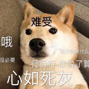 cnine枯瘦years交HD
